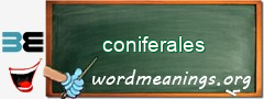 WordMeaning blackboard for coniferales